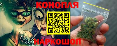 молекула духа Кингисепп