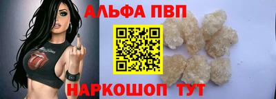 молекула духа Кингисепп