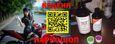 молекула духа Кингисепп