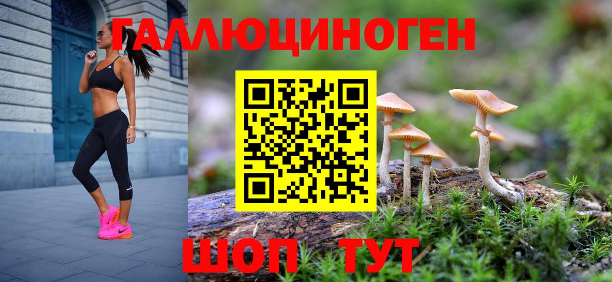 Галлюциногенные грибы Psilocybe  Вход с VPN  Янаул  Псилоцибиновые грибы Psilocybe 